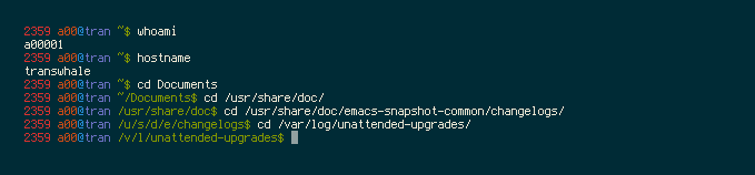 bash prompt screenshot 1