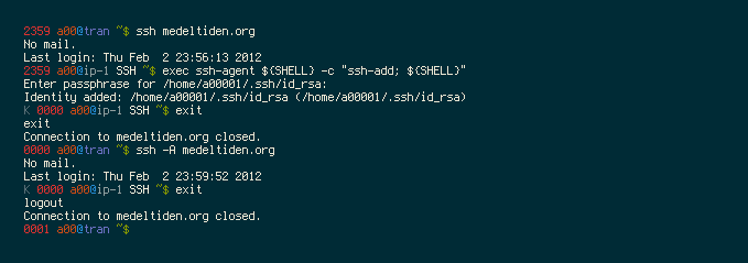 bash prompt screenshot 2